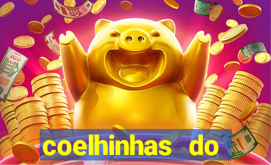 coelhinhas do brasil recife